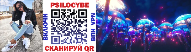 Псилоцибиновые грибы Psilocybe  Барнаул 